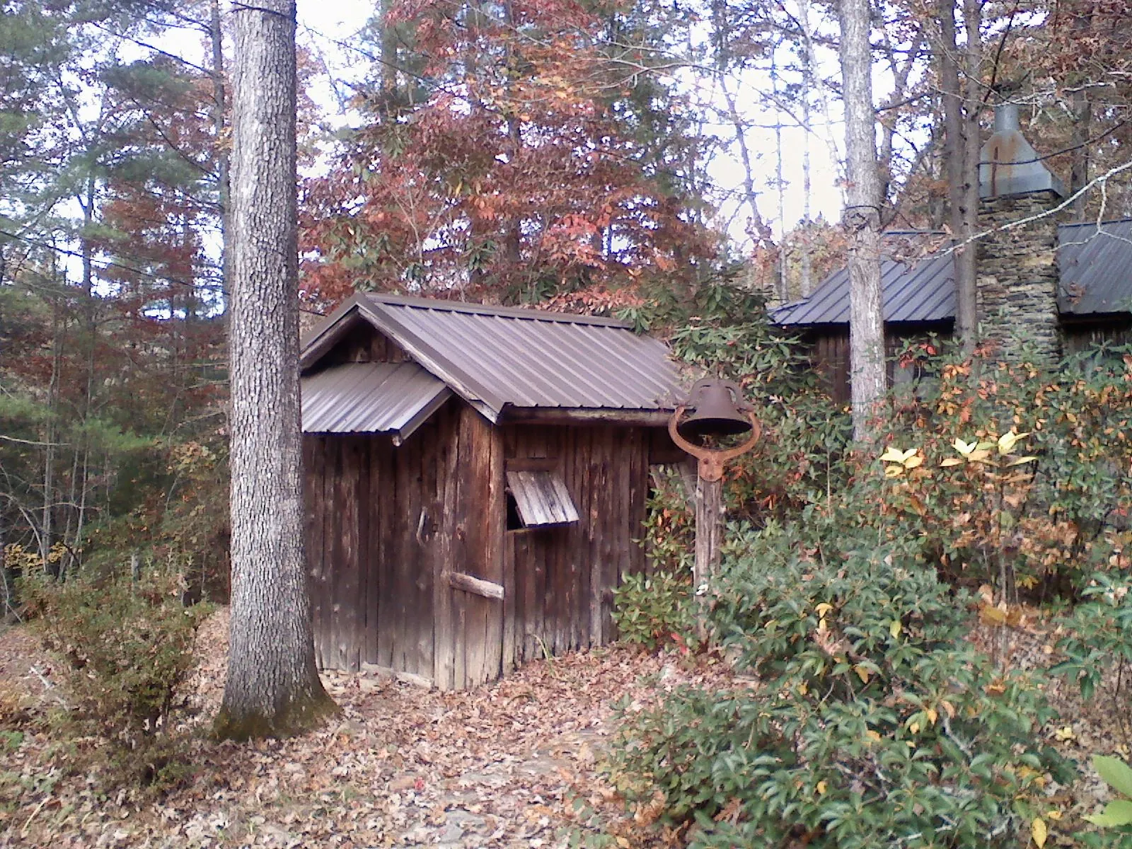 Small metal roof on a rough sawn shed in the woods in Binger